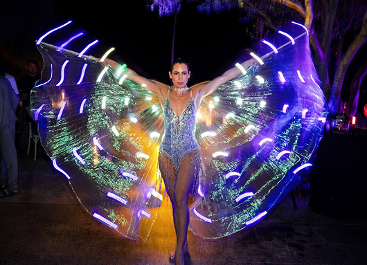 La foto del'led show